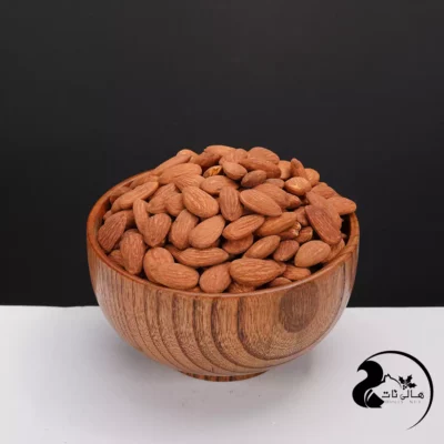 بادام آمریکایی شور را از بزرگترین و بهترین آجیل فروشی در شمال تهران خریداری کنید