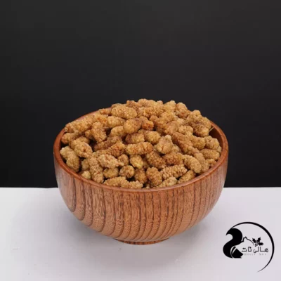 خرید توت خشک ممتاز 🍇 | قیمت، خواص و طعم شیرین طبیعی