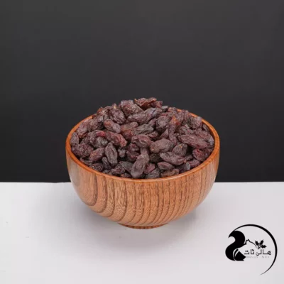 مویز فخری