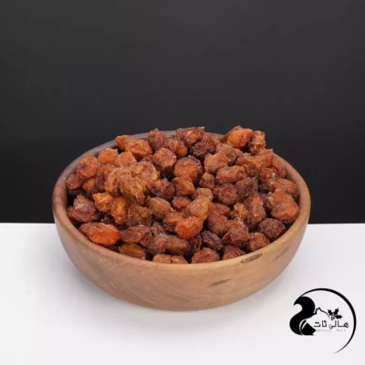 خرید آلو بیرجندی 🍑| قیمت مناسب + خواص بی‌نظیر | خرید آنلاین