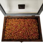 مغز پسته شور اکبری فوق ممتاز کادویی خاتم(850 گرم) - Image 2