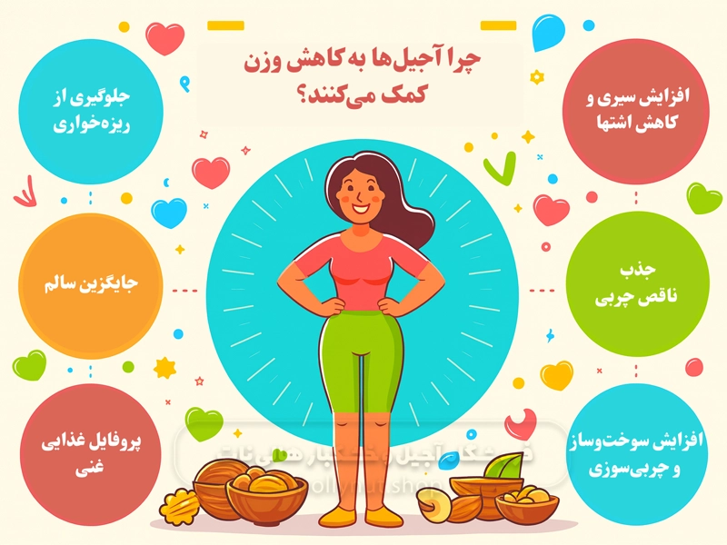 اینفوگرافی چرا آجیلها به کاهش وزن کمک میکنند