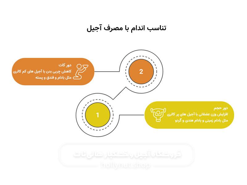 مصرف آجیل در دوره حجم و کات