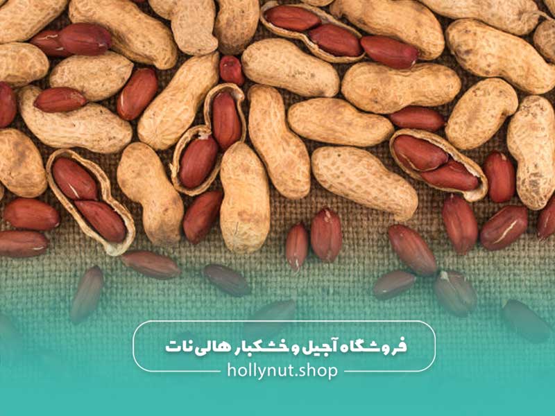 طبع بادام زمینی